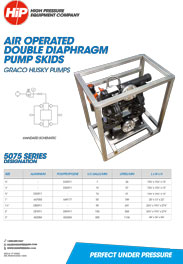 AODD Transfer Pump Skid